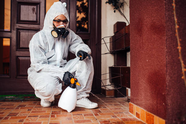 Attic and Crawl Space Rodent Treatment in Gruetli-Laager