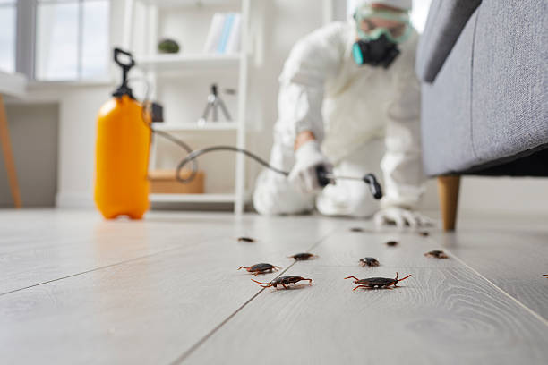 Commercial Rodent Management in Gruetli-Laager